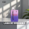 LANA Bar 6000