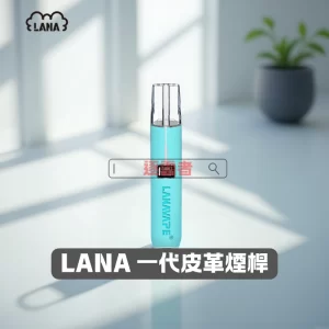 LANA 皮革主機