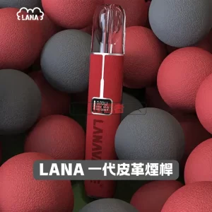LANA 皮革主機