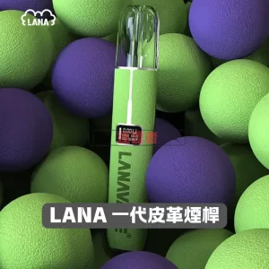 LANA 皮革主機