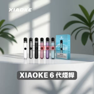 XIAOKE 6代電子煙主機