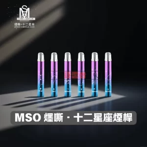 MSO 十二星座電子煙主機